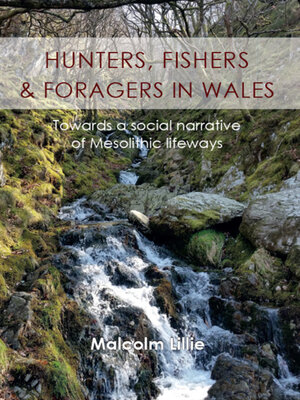 cover image of Hunters, Fishers and Foragers in Wales